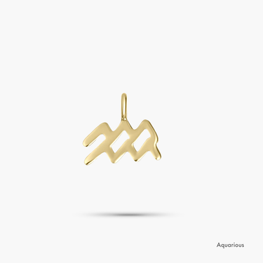 Zodiac Collection 14K Yellow Gold Mini Charm