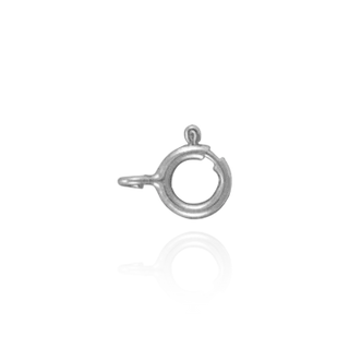 Spring Clasp