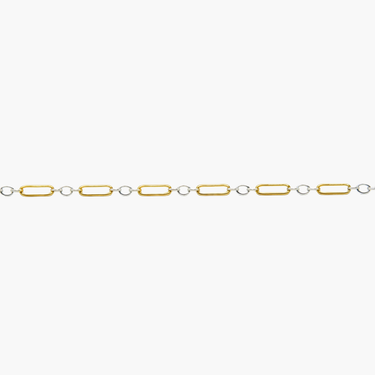 Gold and silver chain on a white background
