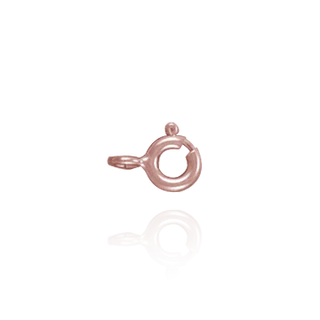 Spring Clasp