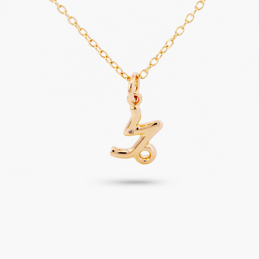 Amare Wear Horoscope Zodiac Sign Capricorn Necklace