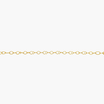 Gold chain on a white background