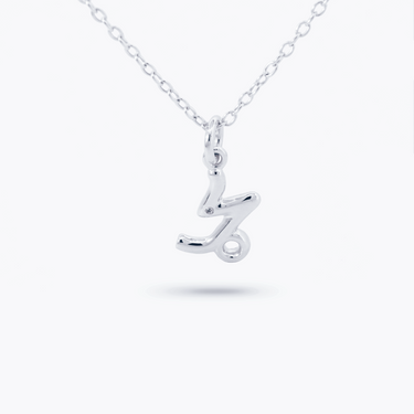 Amare Wear Horoscope Zodiac Sign Capricorn Necklace Silver