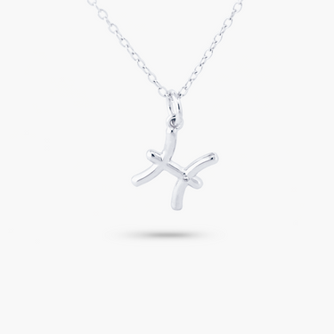 Silver Horoscope Zodiac Sign Pisces Necklace