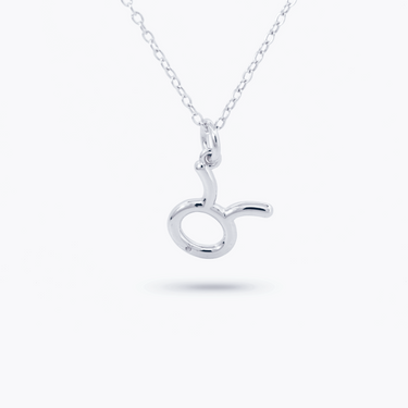 Amare Wear Horoscope Zodiac Sign Taurus Necklace Silver