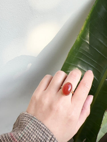 Hand wearing a ring with a red stone against a green leaf background